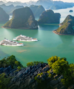 Grand Pioneers Cruise số 2